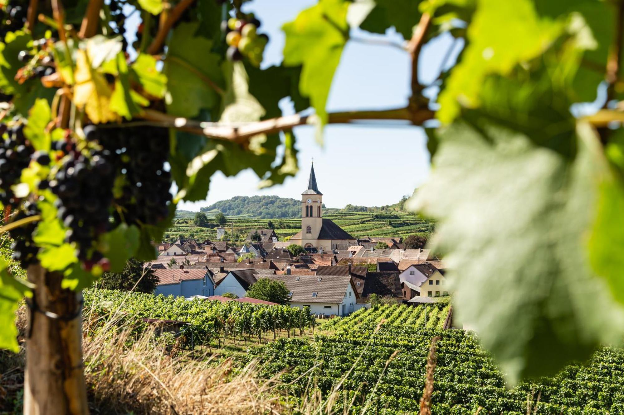 Braviscasa - Ferienresidenz Haus Am Bach Vogtsburg Am Kaiserstuhl Eksteriør bilde